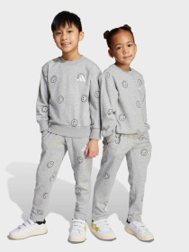 Спортивный костюм Adidas LK SMI JOG SET модель JN2158 Фото