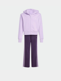 Спортивный костюм Adidas Essentials модель JN2439 Фото