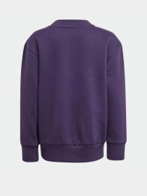 Спортивный костюм Adidas Essentials Kids модель JW2439 Фото