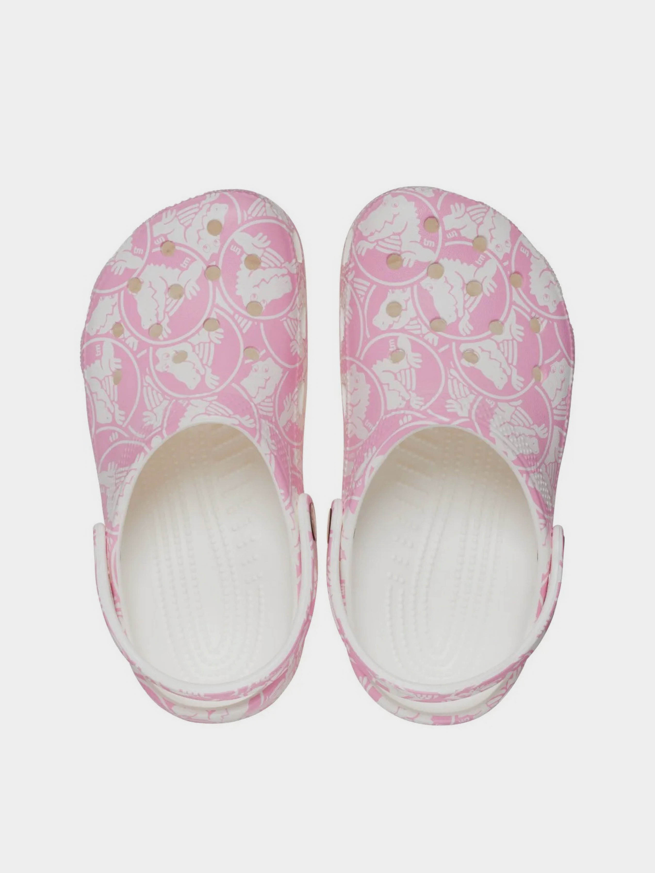 Сабо Crocs модель 210007-6WY Фото