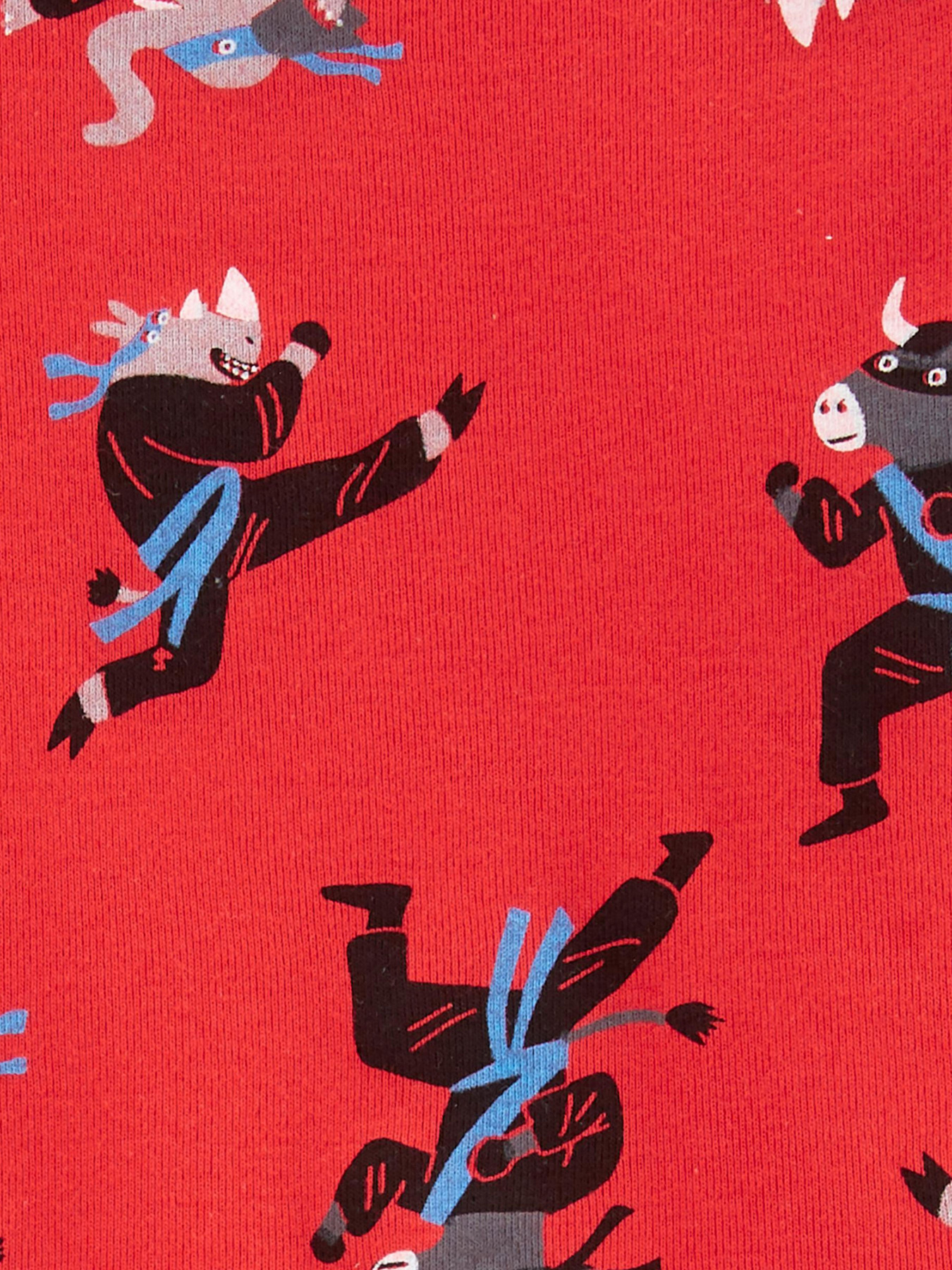 Піжама Carter’s модель 2H457210-multi Піжама Carter’s модель 2H457210-multi Фото