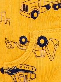 Костюмы Carter’s модель 1J171110-multi Фото