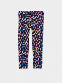 Леггинсы Carter’s модель 1J131610-multi Фото
