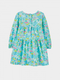 Сукні Carter’s модель 1H402910-multi Сукні Carter’s модель 1H402910-multi Фото
