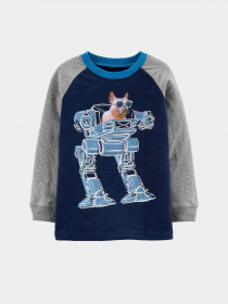 Реглан Carter’s модель 18460310-multi Фото