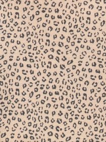 Боди Carter’s модель 1J942310-multi Фото