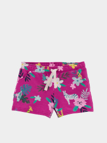 Шорти Carter’s модель 1L731712-multi Фото