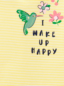 Костюмы Carter’s модель 3K410710-multi Фото