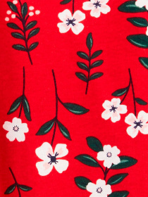 Костюми Carter’s модель 1J349810-multi Фото