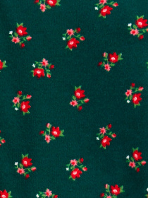 Костюми Carter’s модель 1J349810-multi Фото