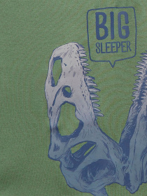 Костюмы Carter’s модель 3K478513-multi Фото