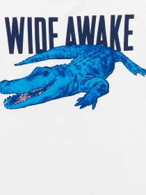 Костюмы Carter’s модель 3K478512-multi Фото