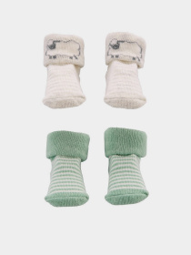 Шкарпетки та гольфи Carter’s модель 1L765810-multi Фото