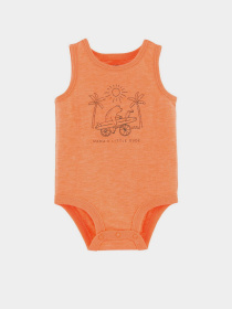 Боді для немовлят Carter’s модель 1L716110-multi Фото
