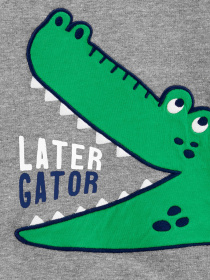 Костюм Carter’s модель 1H359710-gray Фото