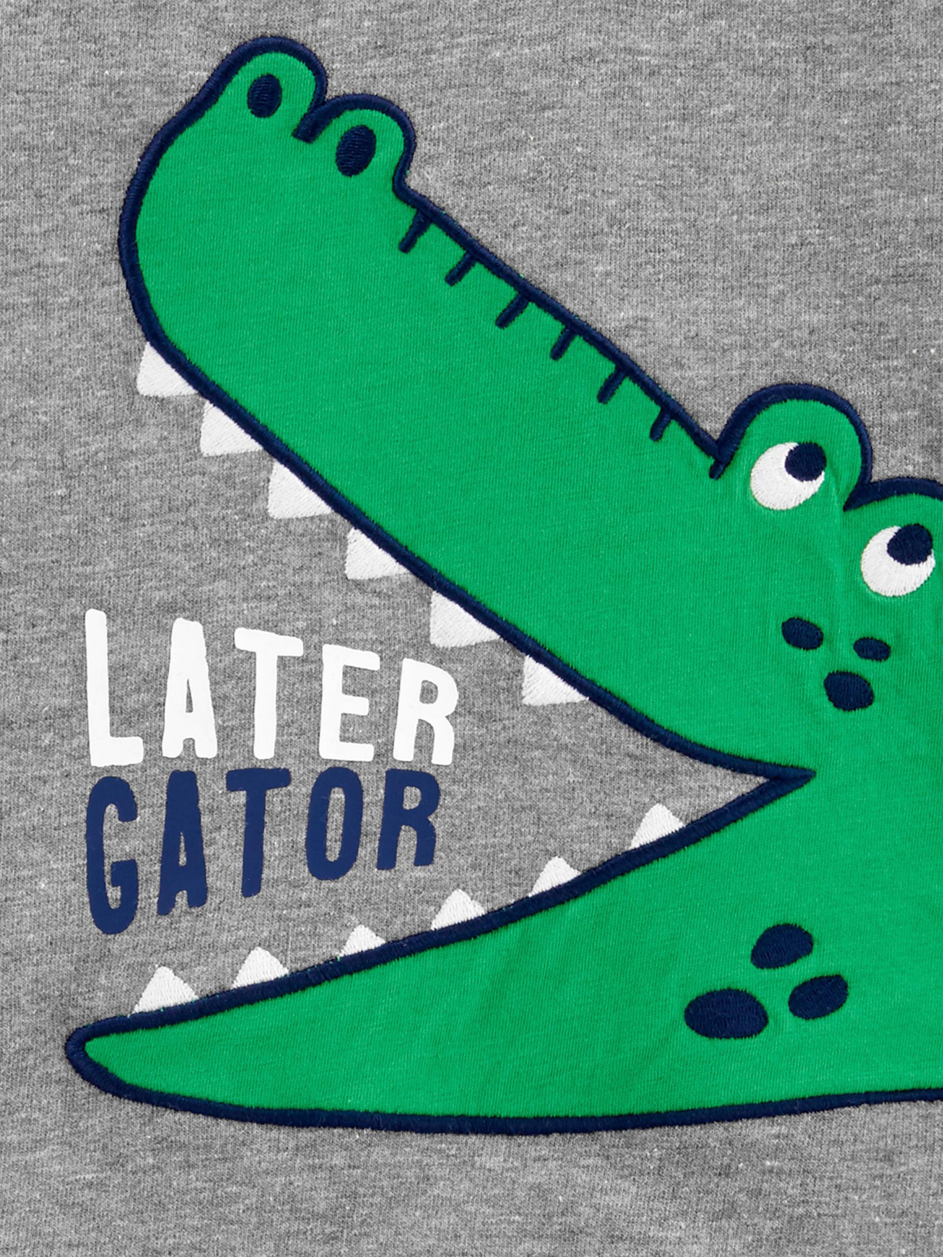 Повсякденний костюм Carter’s модель 1H359710-gray Фото