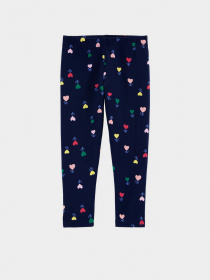 Леггинсы Carter’s модель 3K351610-multi Леггинсы Carter’s модель 3K351610-multi Фото