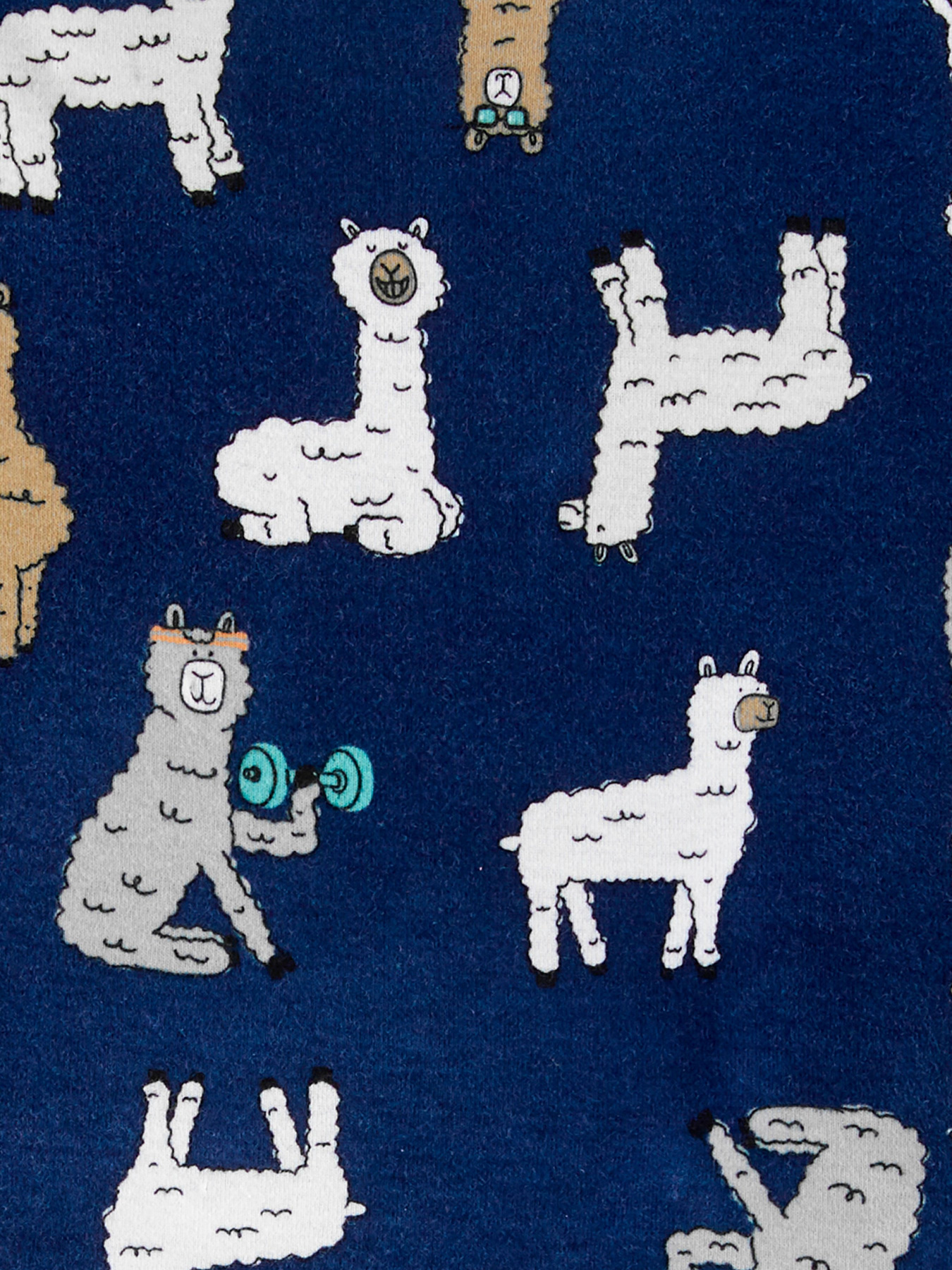 Пижама Carter’s модель 1H457010-multi Фото