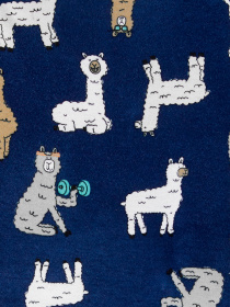 Пижама Carter’s модель 1H457010-multi Фото