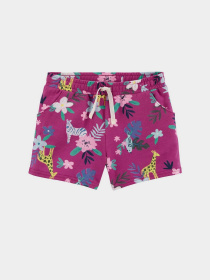 Шорты Carter’s модель 3L732012-multi Фото