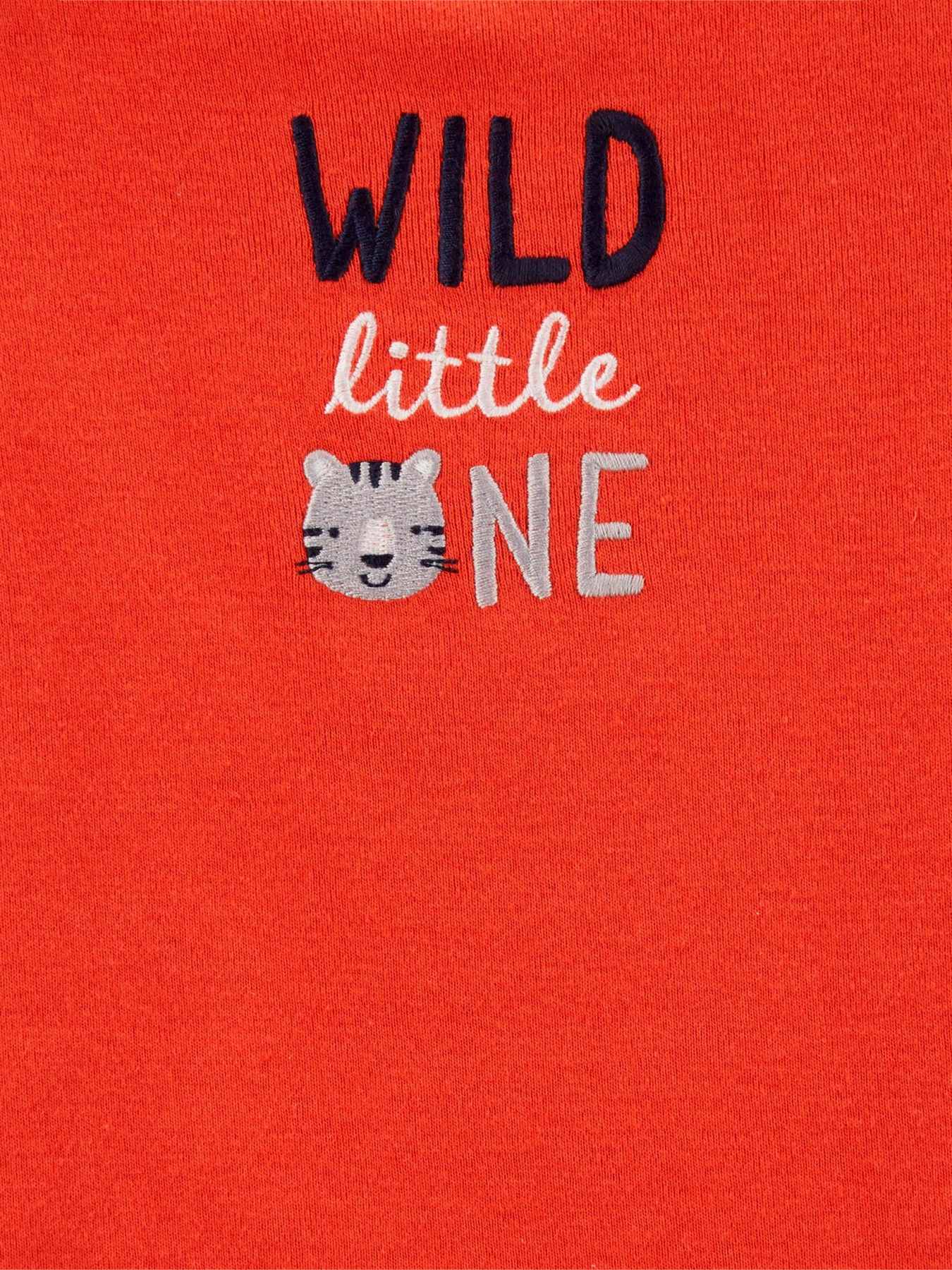 Костюмы Carter’s модель 1I729010-multi Фото