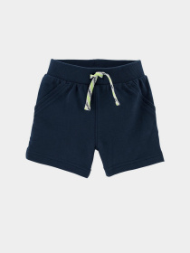 Шорти Carter’s модель 1L720210-multi Фото