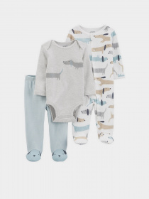 Костюм Carter’s модель 1L761310-multi Фото