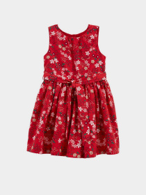 Сукні Carter’s модель 2M025710-multi Сукні Carter’s модель 2M025710-multi Фото