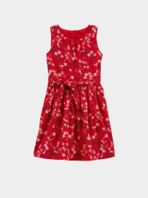 Сукні Carter’s модель 3M026310-multi Фото