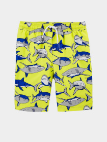 Нижняя часть купальника Carter’s модель 3K395910-multi Фото