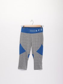 Штаны спортивные Crivit модель IAN284072_сірий з синім Фото