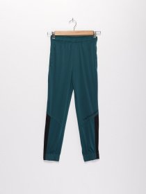 Штаны спортивные Crivit модель IAN301686_т.зелений Фото