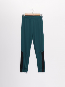 Штаны спортивные Crivit модель IAN3016864_т.бірюзовий з чорним Фото