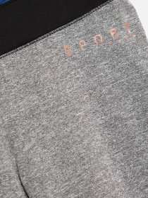 Штаны спортивные Crivit модель IAN284058_сірий комб. Штаны спортивные Crivit модель IAN284058_сірий комб. Фото