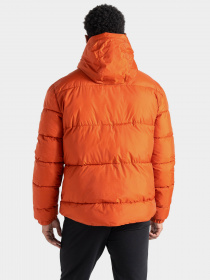 Зимняя куртка Dare2B Endless IV модель DMP578-W50 Помаранчевий Зимняя куртка Dare2B Endless IV модель DMP578-W50 Помаранчевий Фото