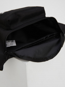 Поясна сумка DeFacto модель U3649AZ-BK27 Фото