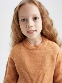 Джемпер DeFacto модель R1952A6-OG306 Фото