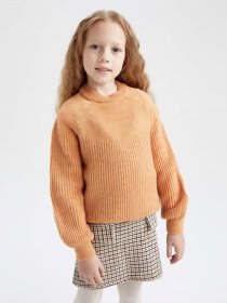 Джемпер DeFacto модель R1952A6-OG306 Фото