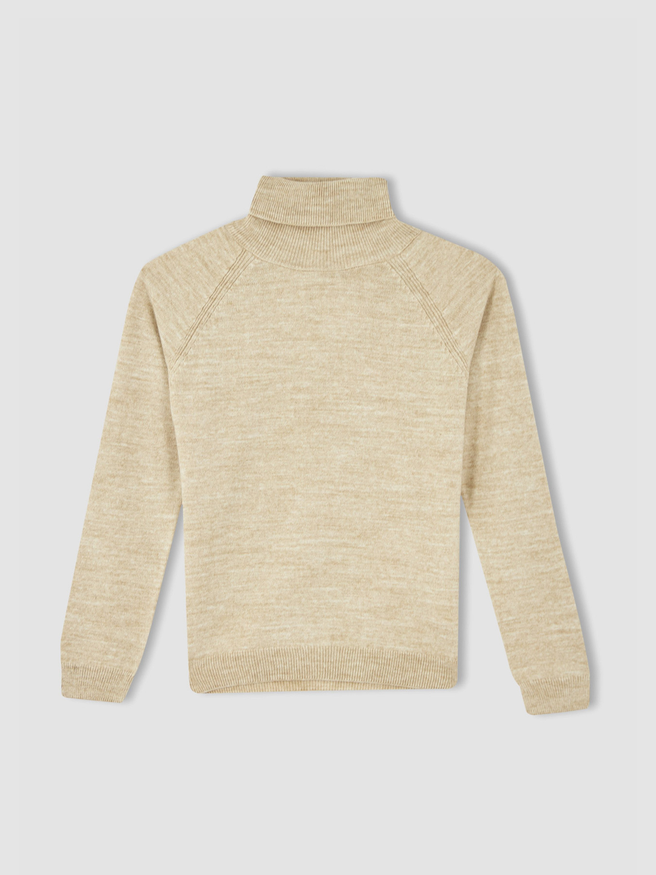 Водолазка DeFacto модель R1953A6-BG238 Фото