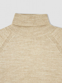 Водолазка DeFacto модель R1953A6-BG238 Фото