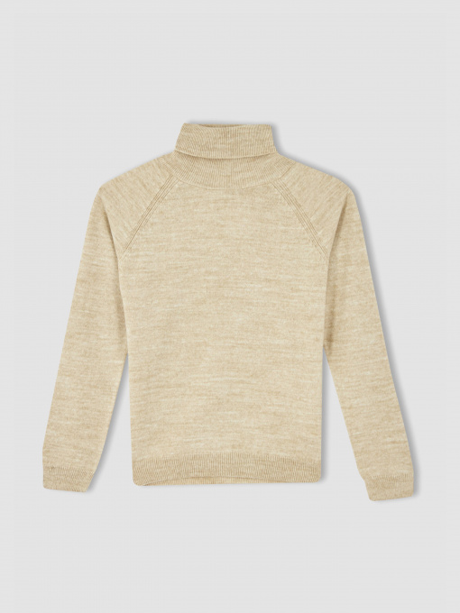 Водолазка DeFacto модель R1953A6-BG238 Фото