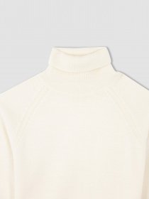 Водолазка DeFacto модель R1953A6-BG285 Фото