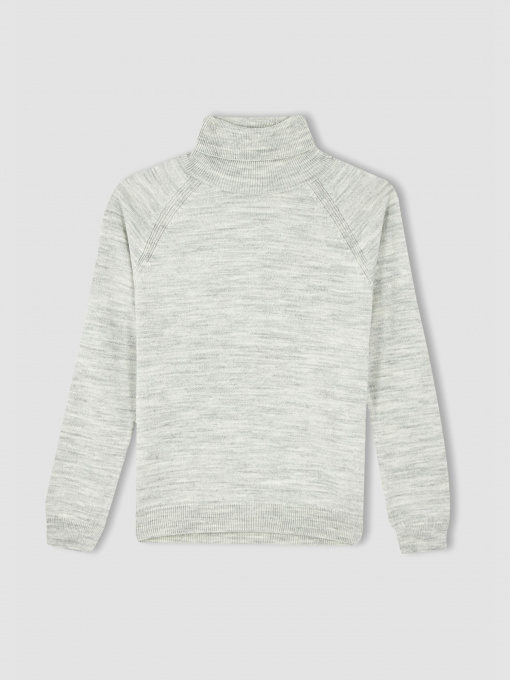 Водолазка DeFacto модель R1953A6-GR28 Фото