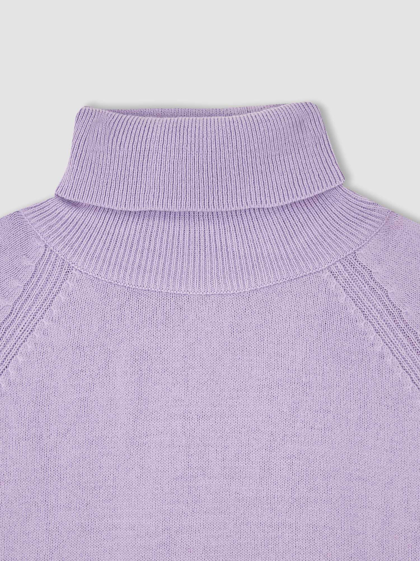 Водолазка DeFacto модель R1953A6-PR251 Фото