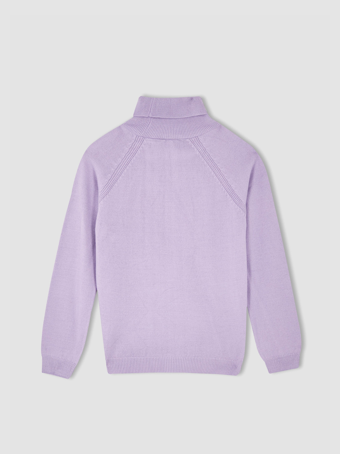 Водолазка DeFacto модель R1953A6-PR251 Фото