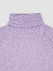 Водолазка DeFacto модель R1953A6-PR251 Фото