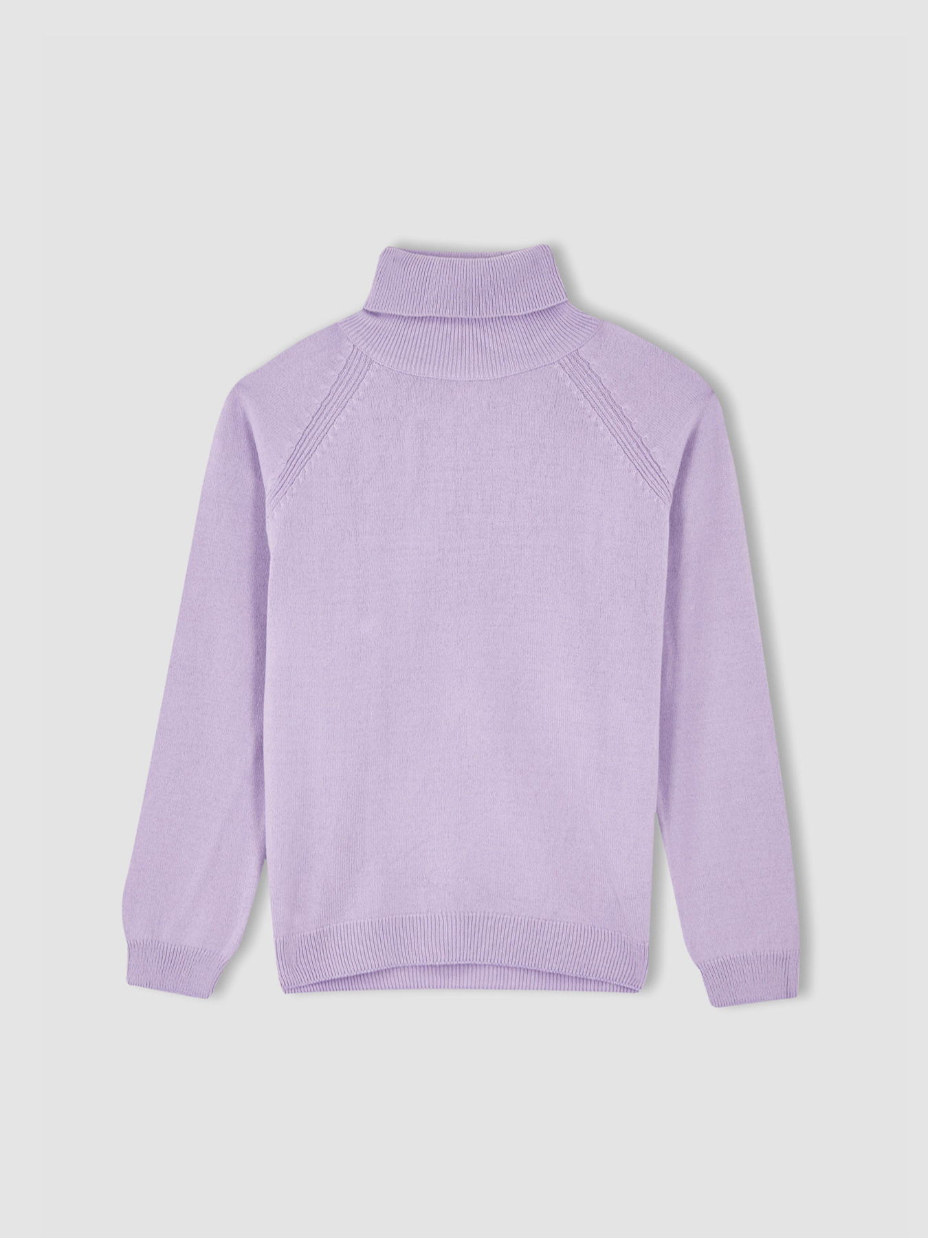 Водолазка DeFacto модель R1953A6-PR251 Фото