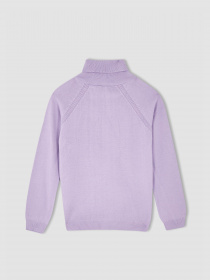 Водолазка DeFacto модель R1953A6-PR251 Фото