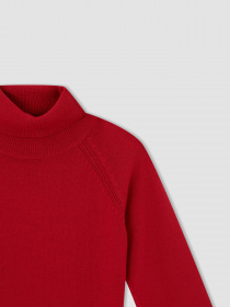 Водолазка DeFacto модель R1953A6-RD296 Фото