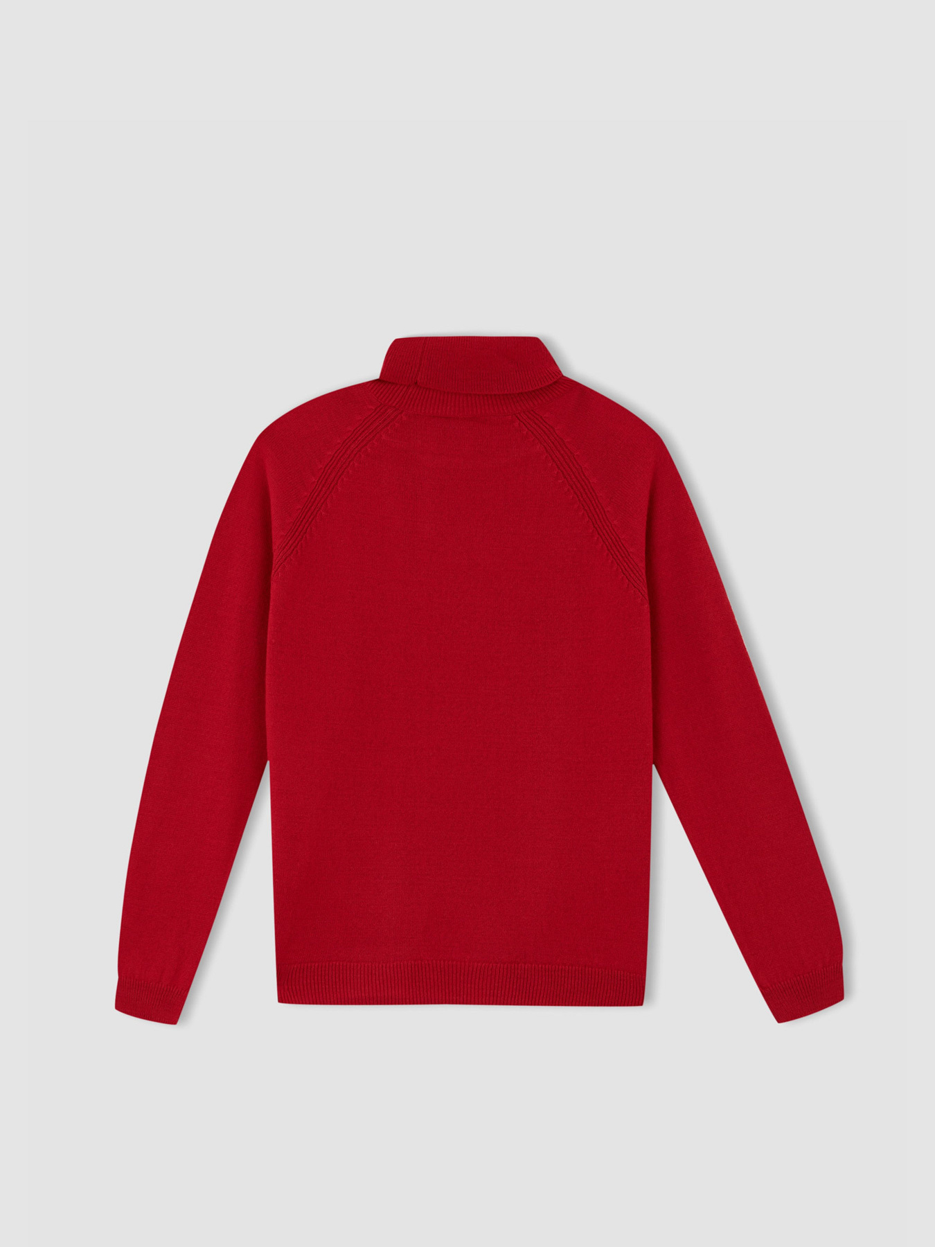 Гольф DeFacto модель R1953A6-RD296 Фото